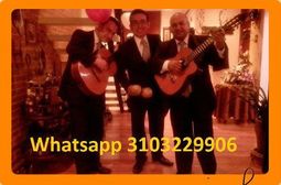 MUSICOS PARA SERENATAS 