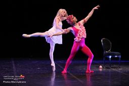 Danza Accion