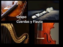 Cuerdas y Flauta