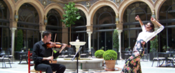 Explore Flamenco: Cultural Sho