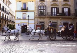 Carruajes Jerez