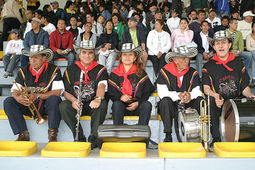 papayera rumba brava 