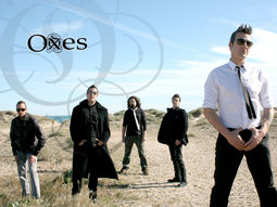 Oxes