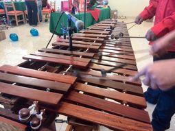 marimbas en df desde 800hra co
