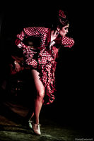 Flamenco profesional.Eventos baile música en vivo