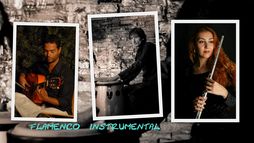 Flamenco Instrumental