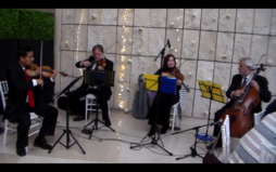 Cuarteto de cuerdas conciertos