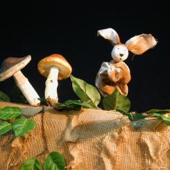 Titelles Pamipipa