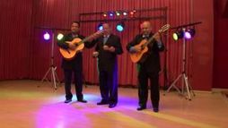 SERENATAS EN BOGOTA
