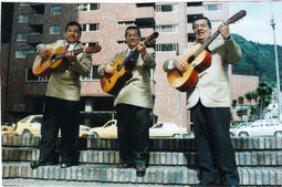Koral Trio