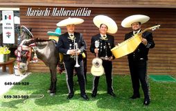Mariachi en Mallorca