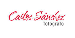 Carlos Sanchez