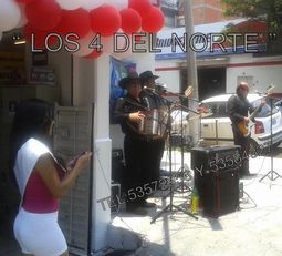 GRUPO MUSICAL NORTEÑO para to