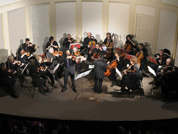 Violinista Tit. Superior-Barcelona y Andorra