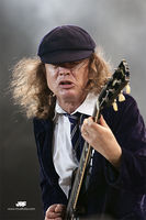 Musifota