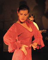 Flamenco y otras músicas