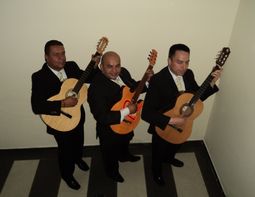 musicos para serenatas bogota