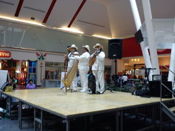 Trio Jarocho/Romantico