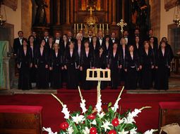 Canticorum