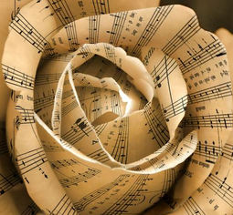 Cuarteto Andantino
