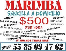 marimbas df y edo mexico economicas versatiles