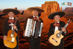 Mariachis y Boleros Valencia