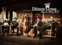 Dünengrass - Bluegrass von de
