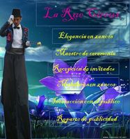 Elegancia en Zancos