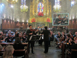 Clases violin y viola Barcelona y Andorra la Vella