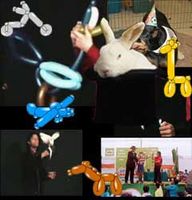 Fiestas Infantiles con magos