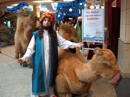 Campaña de Reyes Magos