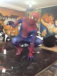 SPIDERMAN EL SHOW EN DF ***.***.*** foto 2