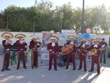 Mariachi Gallo de Oro foto 2