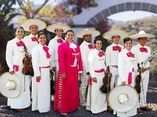 Mariachi Mestizo foto 1