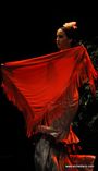 Raíces Grupo Flamenco foto 2