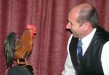 Lucky Rooster foto 2