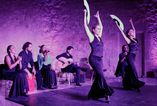 FLAMENCO TEMPLE foto 2