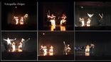 Compañía Alea·Danza foto 1