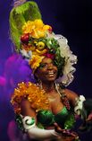 Sambashow Rio Carnaval foto 2