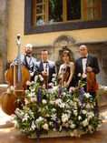 Cuarteto Tres Siglos de Musica foto 2