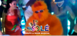 grupo musical sole  foto 1