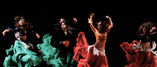 Cia de Danzas Arabes Hanin foto 2