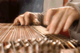 Zithermusiker Stefan Schletterer foto 1