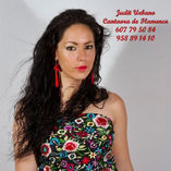 FLAMENCO foto 2
