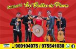 mariachi piura los gallos foto 2