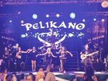 ORQUESTA PELÍKANO foto 1