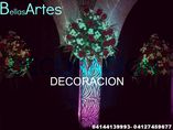 Bellas Artes foto 2