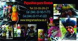 Payasitos Guadalajara foto 1