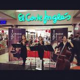 Musical Mastia foto 1