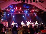 Hunsrücker Nachtschwärmer foto 1